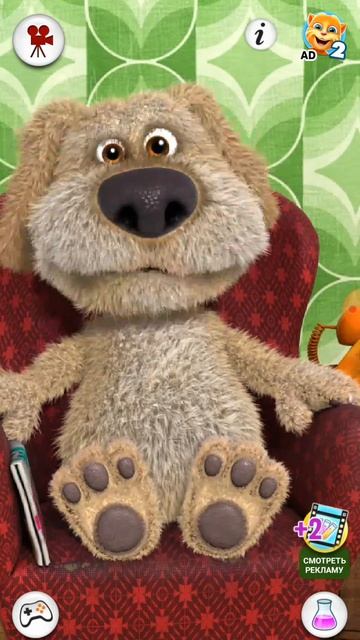 bit box с беном