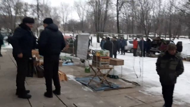 Едем в ЛНР. Выставка-ярмарка голубей в Красном Луче. Николаеские голуби. Pigeon Fair.