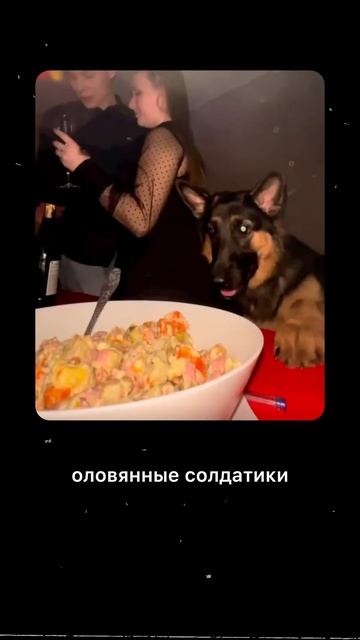 Почему нельзя давать еду со стола?
