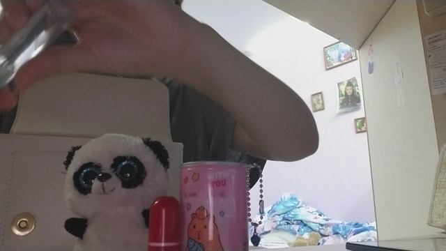 что лежит в моей сумке