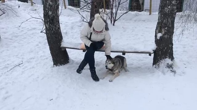 Социализация: рекомендации от волонтеров