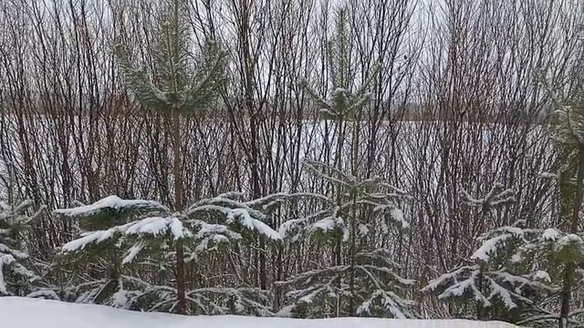 Январь на берегу Вятки.