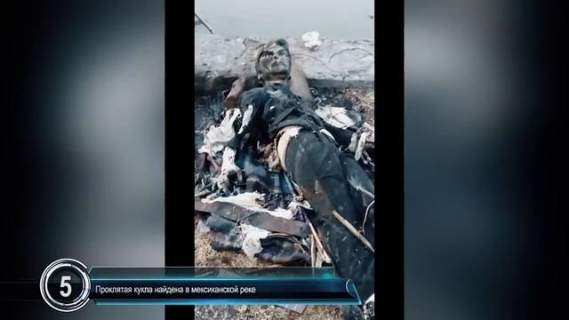 НАЙДЕНА ПРОКЛЯТАЯ КУКЛА _ Медузообразный НЛО (Аномальные Новости 2020)