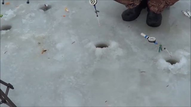 На рыбалку с Иванычем. Выпуск № 1. от 01.01.2018 г.