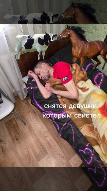 #мажор на связи