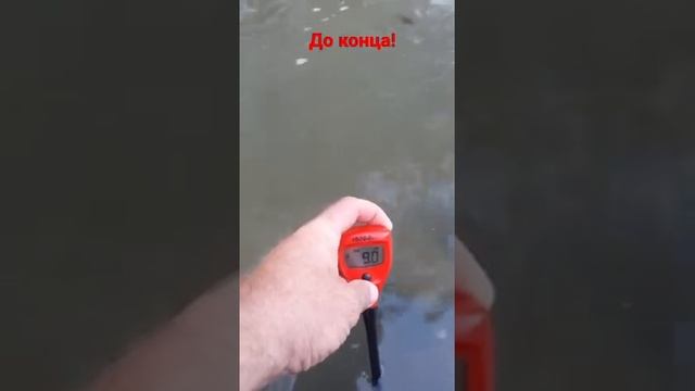 Корректируйте рН воды! Иначе ваши обработки теряют до 90% эффективности.