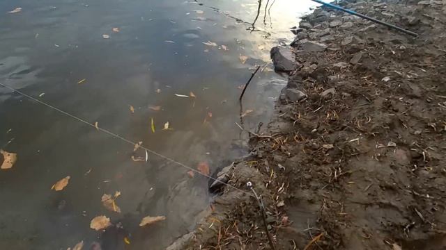 Безрыбная осенняя рыбалка на реке Бикин.