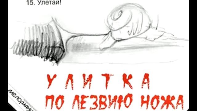 Олег Улитин По лезвию ножа