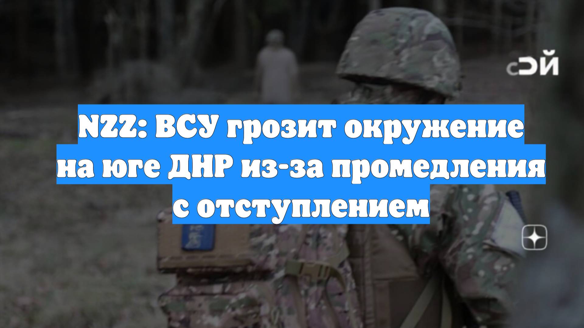 NZZ: ВСУ грозит окружение на юге ДНР из-за промедления с отступлением