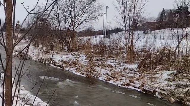 Речка в парке в Вудбриджа. Лёд под водой.