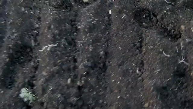 УДАРИЛ МОРОЗ начало октября 7 число