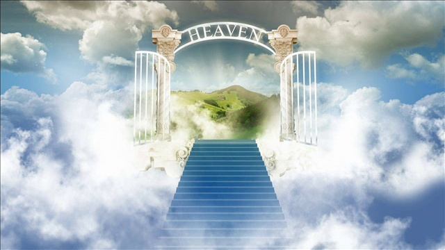 Книга ЖИЗНЬ МИР МЕРТВЫХ ЧАСТЬ 6 РАБОТА ПРЕДСТОИТ БОЛЬШАЯ