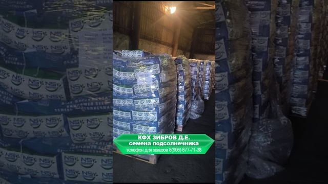 Поступление семян подсолнечника - Кайзер под экспресс. Семена урожая 2024 года на посев в 2024 году