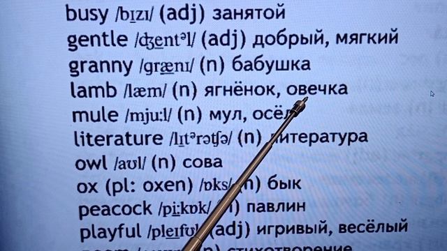 5 класс Английский в фокусе Модуль 4 стр. 63 Словарь Сравнение Стихотворение Моя семья