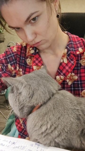 кота нужно гладить! 😻