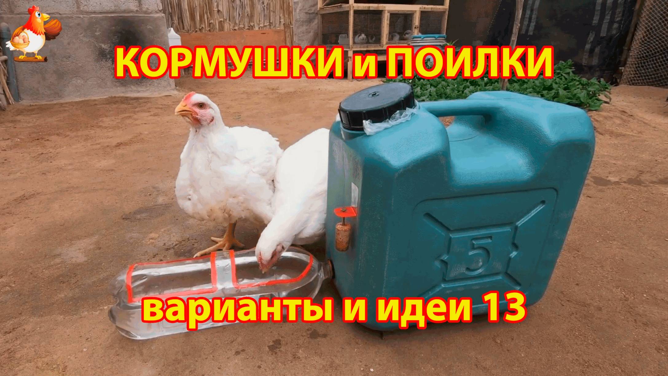 Кормушки и поилки для кур своими руками идеи и варианты (13)