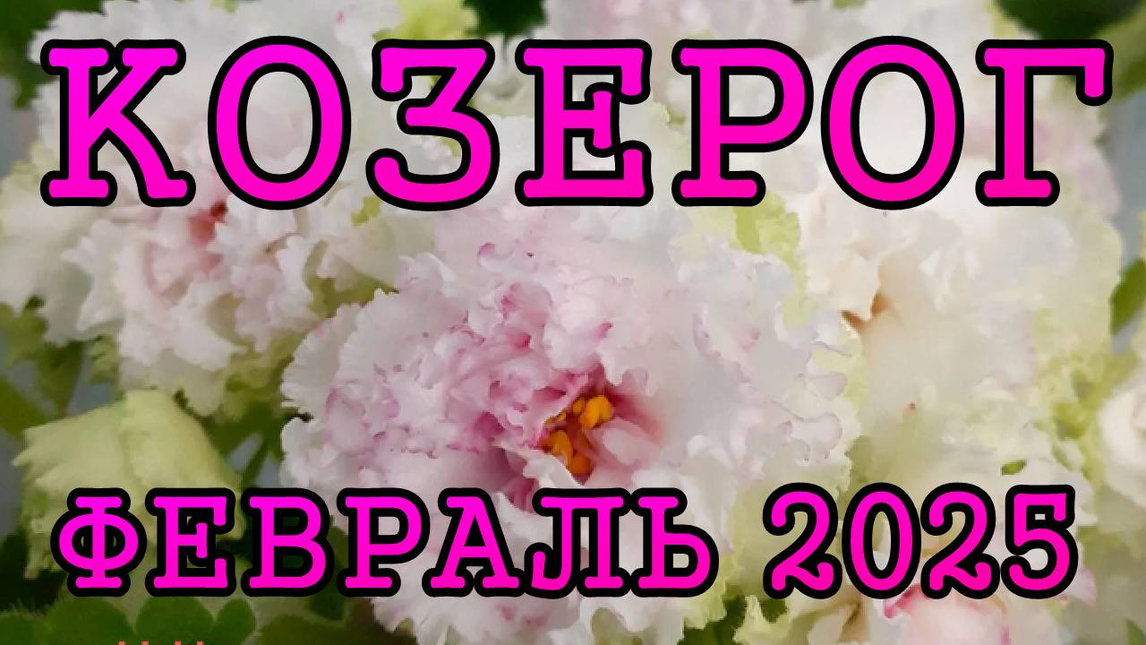 КОЗЕРОГ таро прогноз на ФЕВРАЛЬ 2025 года.