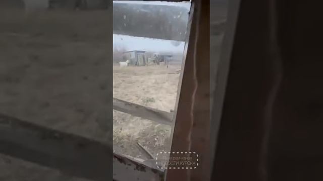 Украинские террористы продолжают вламываться в дома мирных граждан