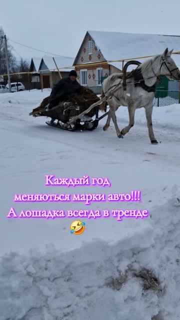 Лошадка