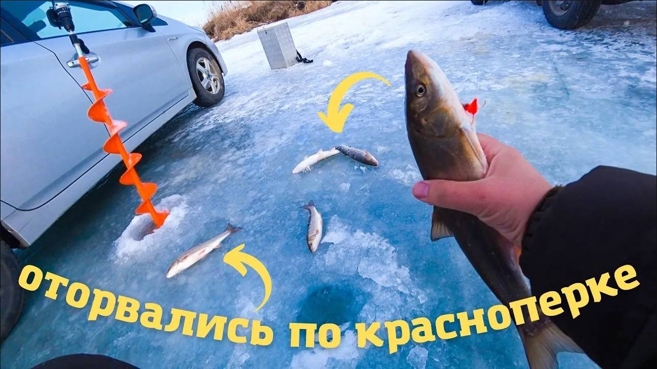 Оторвались по краснопёрке на зимней рыбалке!