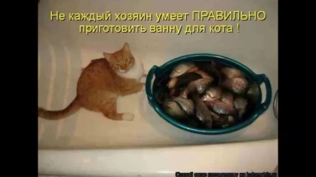 02 Еврейские анекдоты