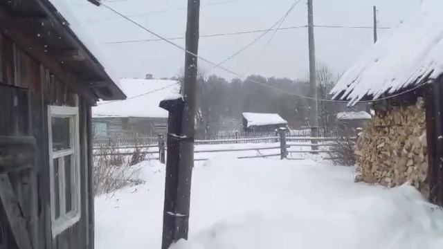 В деревне 09.01.2025