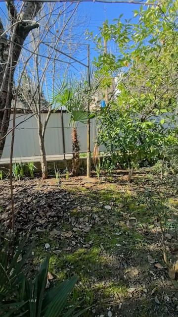 Дом у моря в Абхазии