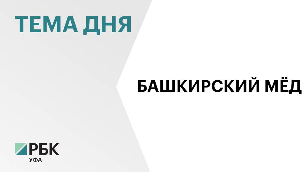 В Башкортостане производство товарного мёда сократилось на 16,7%, до 5 тыс. тонн в 2024 г.