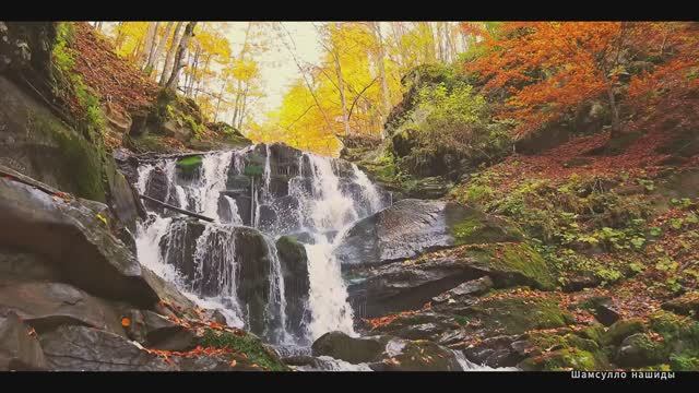 #Islam#Quran#TaHa#ٌMinshawiy#Коран#СурТаХа#СамыеКрасивыеМеста#Relaxation#4кВидео#1часть#