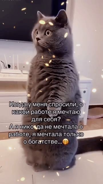 О какой работе ты мечтаешь?)