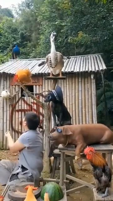 1000072188.mp4
