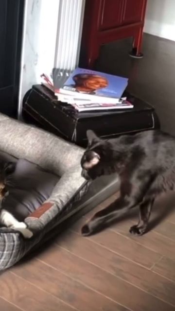 1000072178.mp4