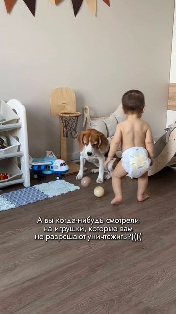 Лайк, если жалко собачку(