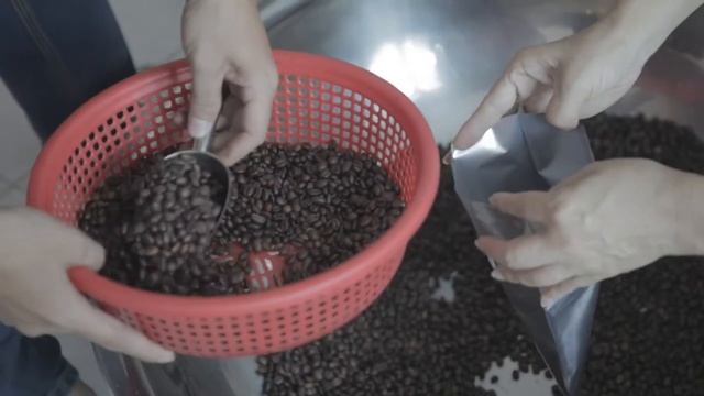 Kopi Luwak Coffee Shop