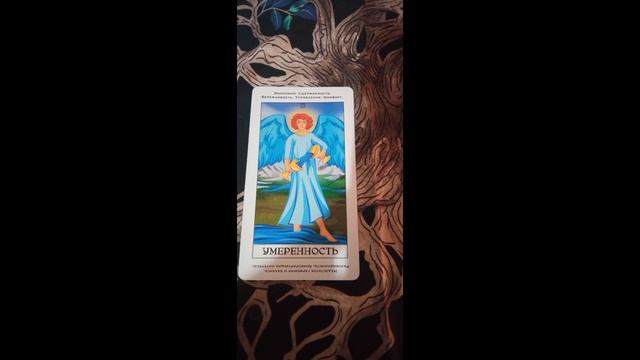 Карта дня на 23 января 2025 года