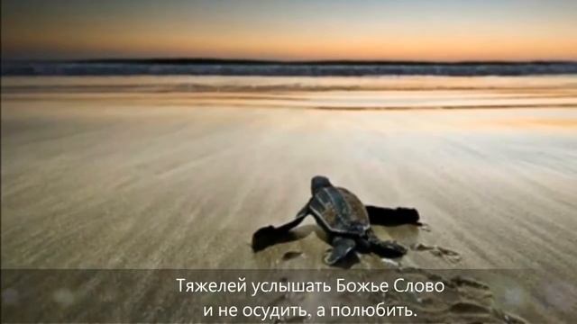 Как легко мы верим во всё злое