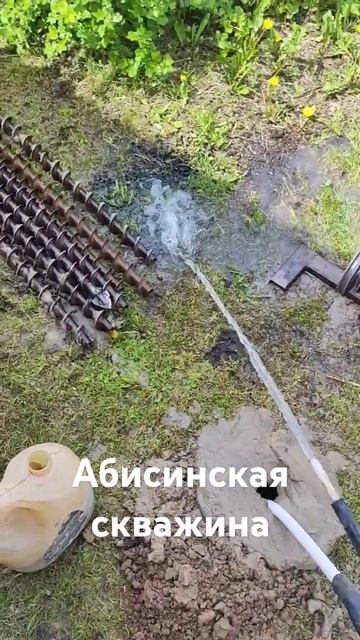 абисинская скважина