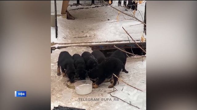 Несколько посетителей универмага «Уфа» застряли в лифте