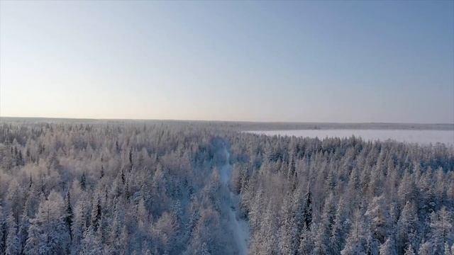 Яркость в моменте.