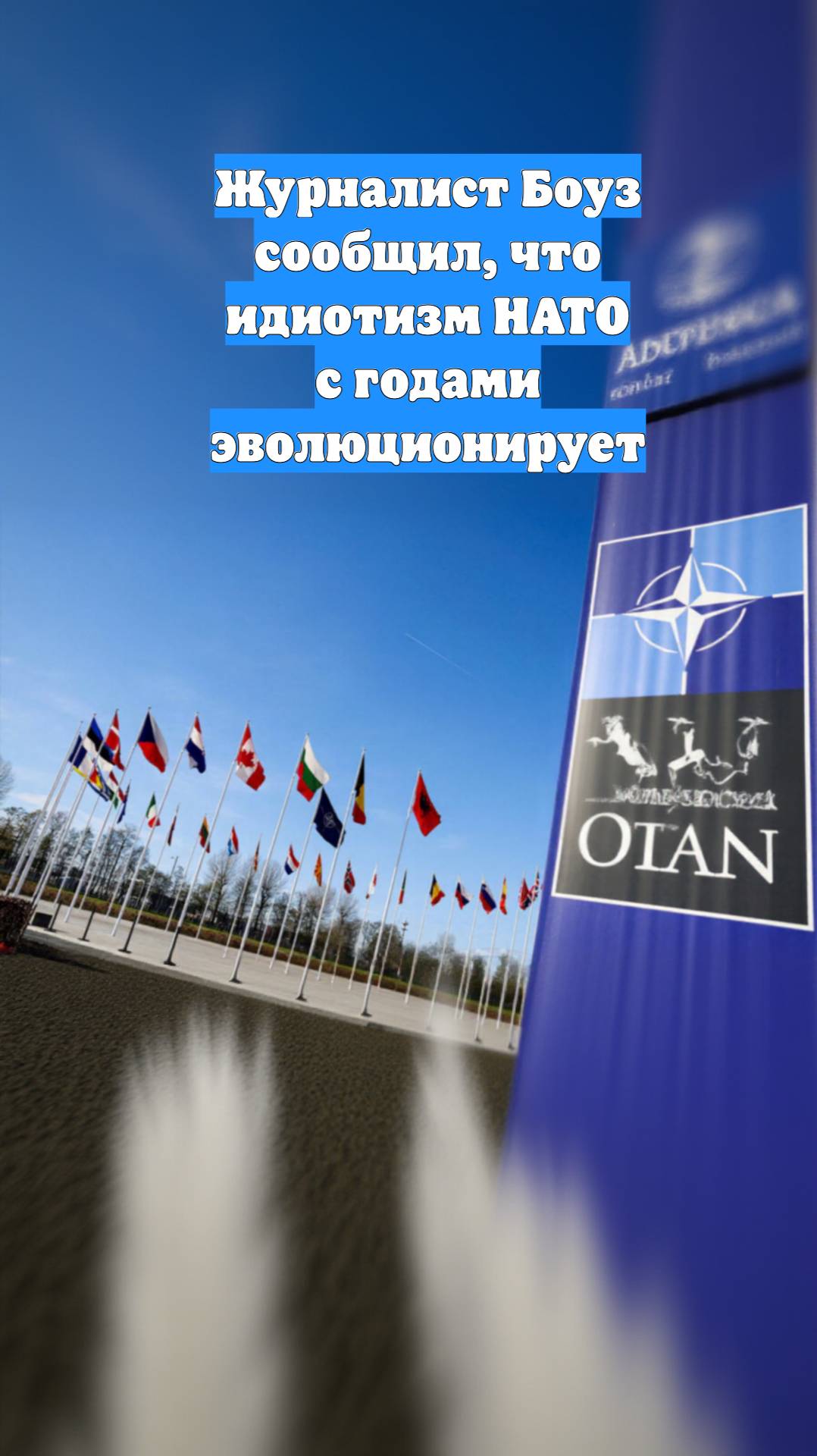 Журналист Боуз сообщил, что идиотизм НАТО с годами эволюционирует