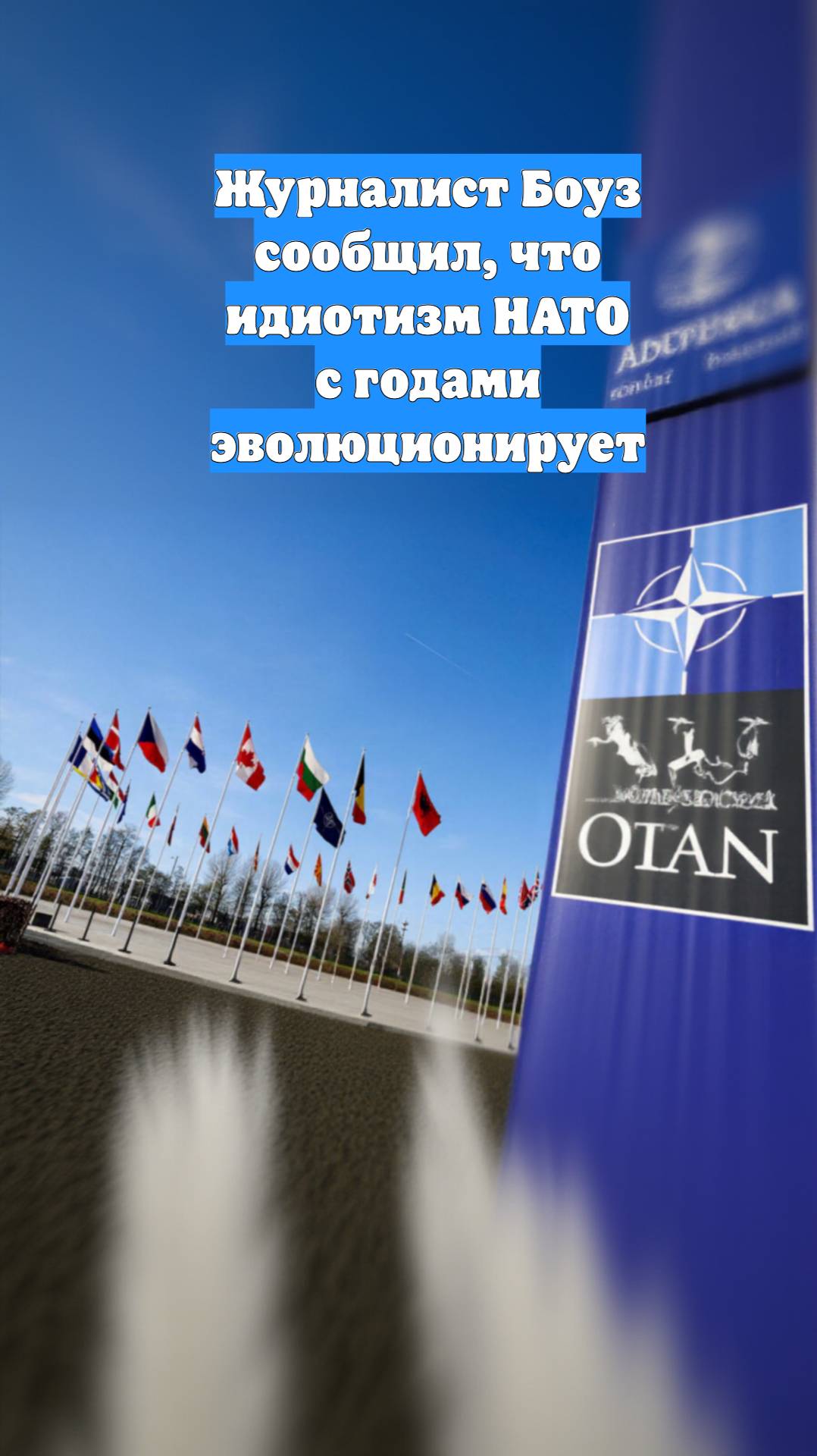 Журналист Боуз сообщил, что идиотизм НАТО с годами эволюционирует