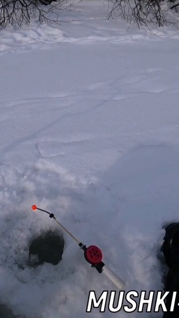 Зимняя рыбалка на Хариуса