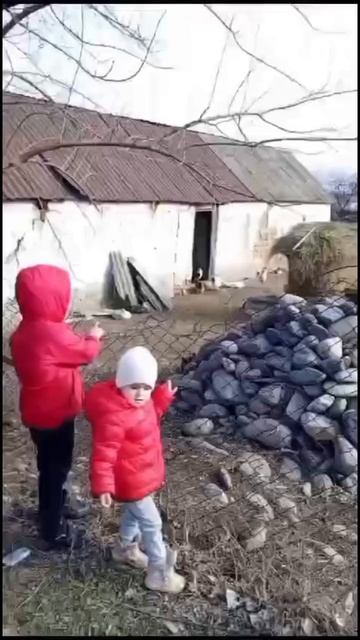 молоко