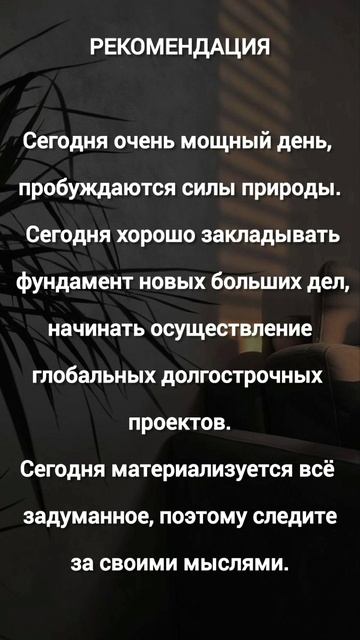 23 января