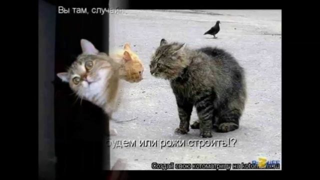 01 Говорит Одесса