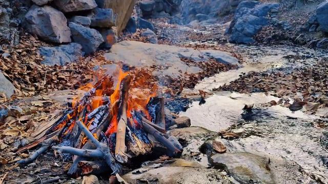 Потрескивающий огонь и текущая река в уютный осенний день | Обязательно отдыхайте на природе!