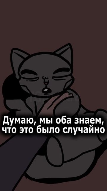 Главная ошибка кошатников