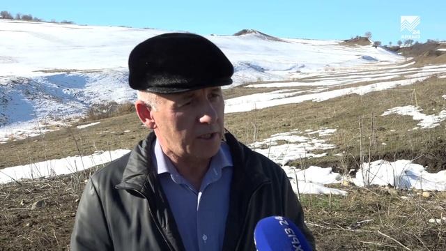 Маркировка сельхозживотных продолжается в Карачаево-Черкесии