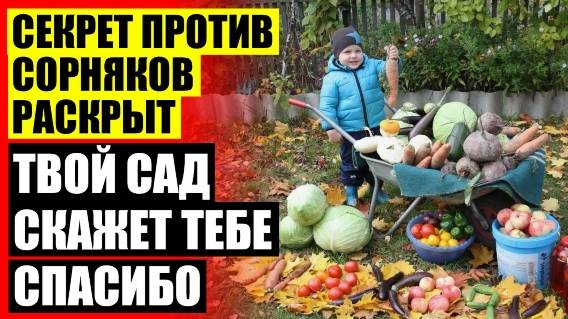 😎 Средство от сорняков купить в челябинске ⚫ Гербицид на рапс