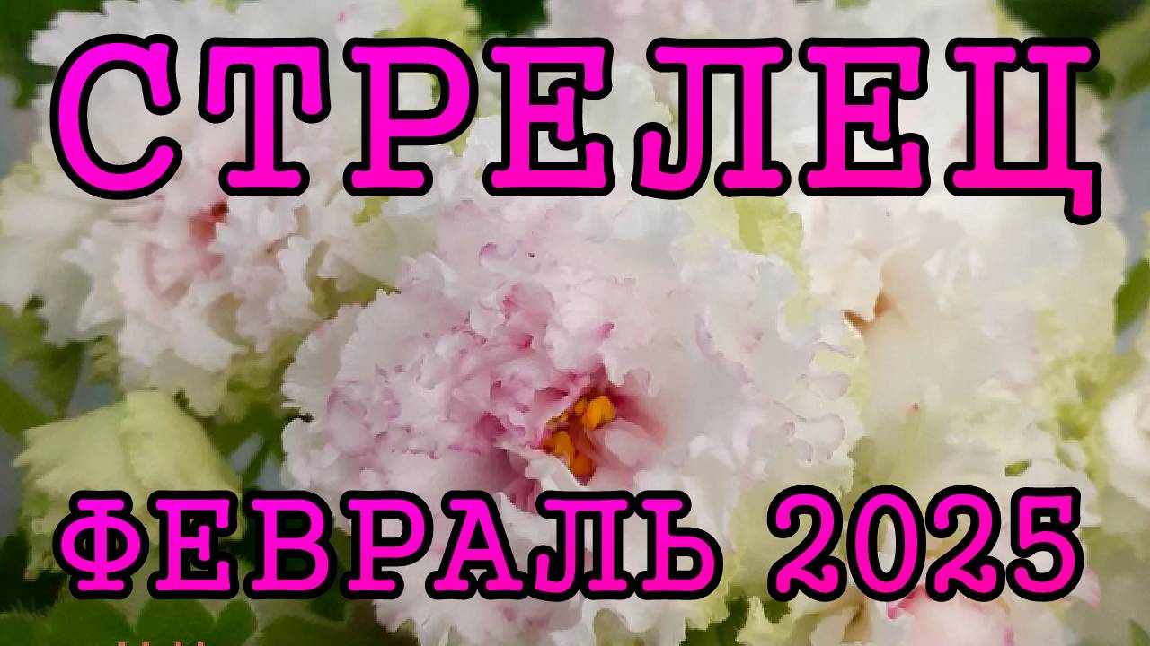 СТРЕЛЕЦ таро прогноз на ФЕВРАЛЬ 2025 года.